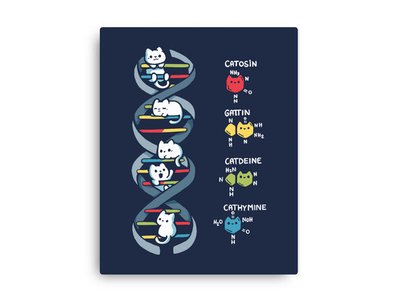 Dna Kitten