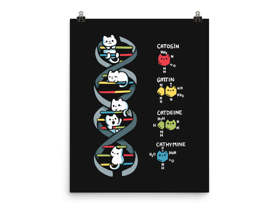 Dna Kitten