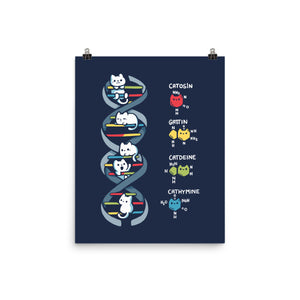 Dna Kitten