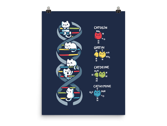 Dna Kitten
