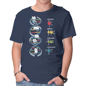 Dna Kitten