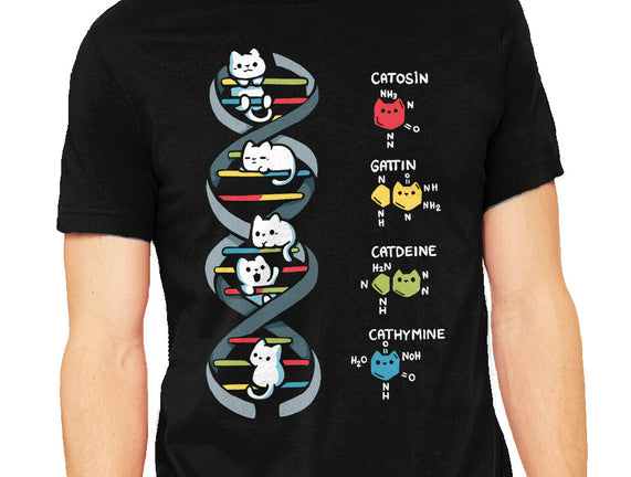 Dna Kitten