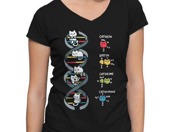 Dna Kitten