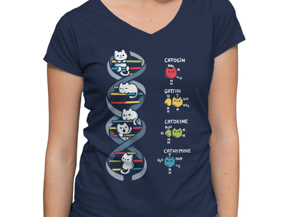 Dna Kitten