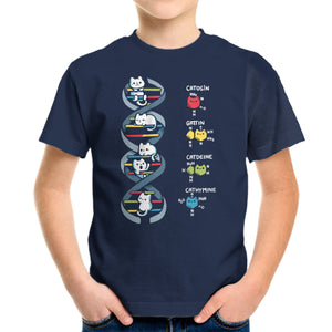 Dna Kitten