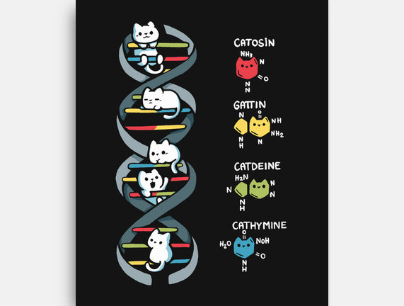 Dna Kitten