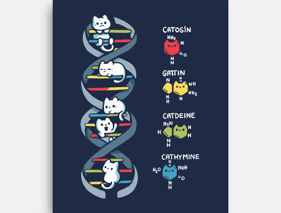 Dna Kitten