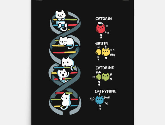 Dna Kitten