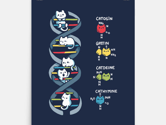 Dna Kitten
