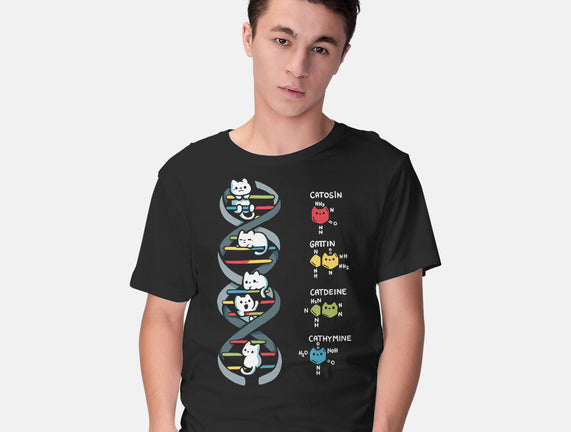 Dna Kitten