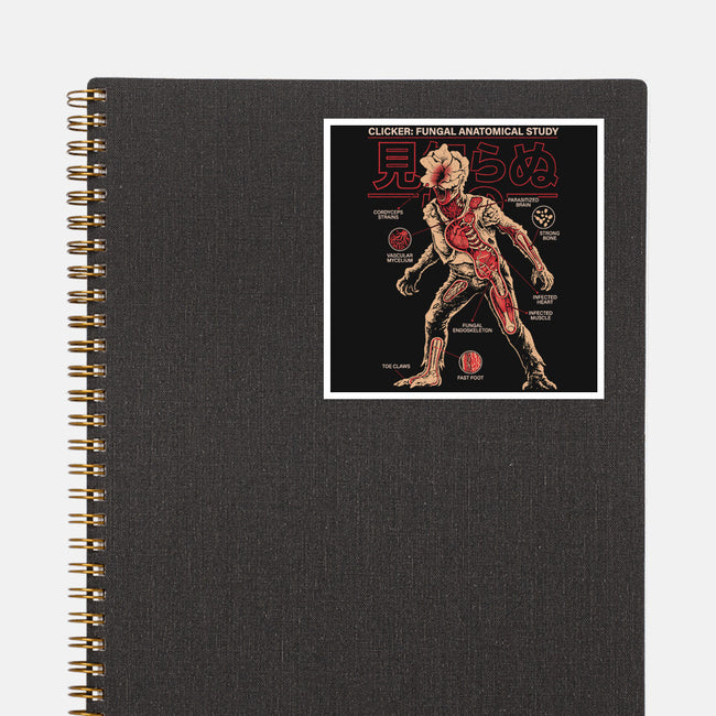 Fungal Anatomical Study-None-Glossy-Sticker-Diego Gurgell