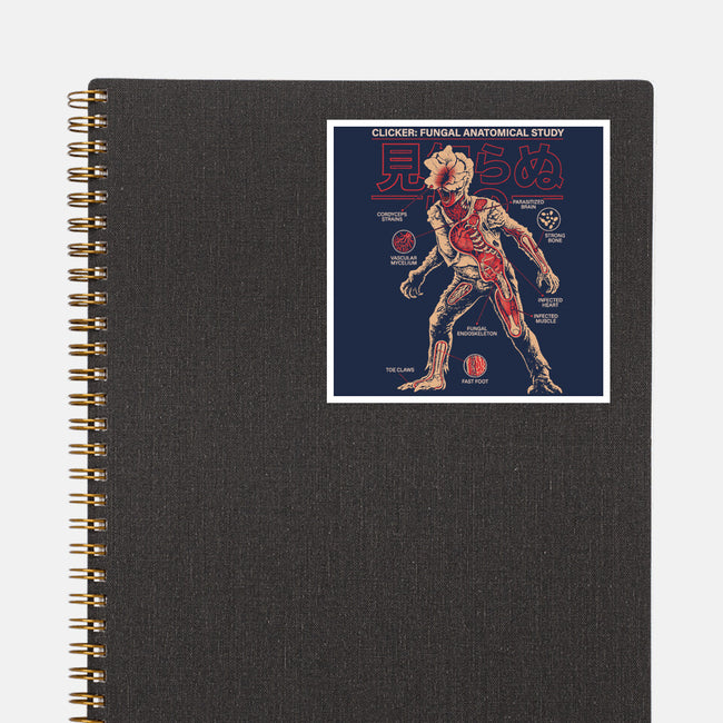 Fungal Anatomical Study-None-Glossy-Sticker-Diego Gurgell