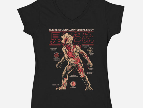 Fungal Anatomical Study