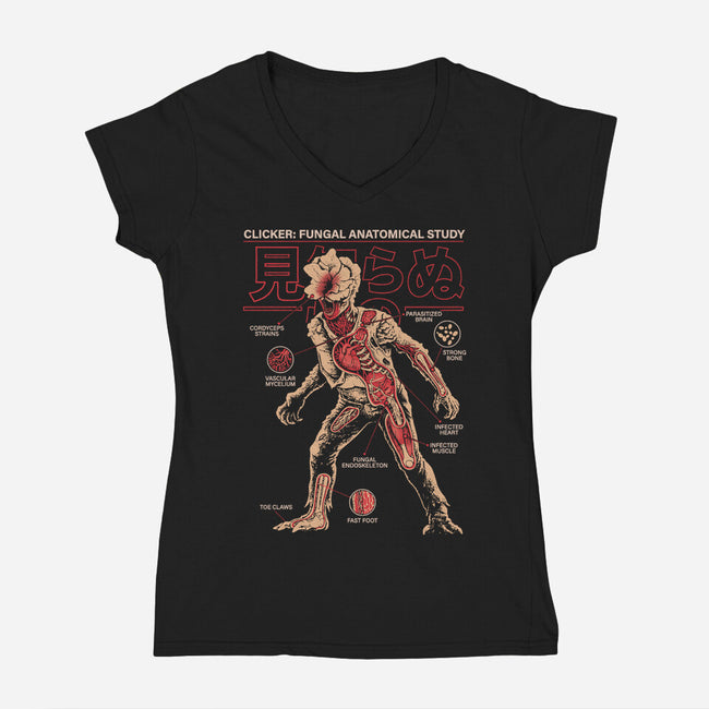 Fungal Anatomical Study-Womens-V-Neck-Tee-Diego Gurgell