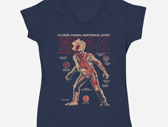Fungal Anatomical Study