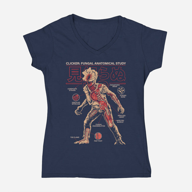 Fungal Anatomical Study-Womens-V-Neck-Tee-Diego Gurgell