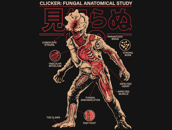 Fungal Anatomical Study