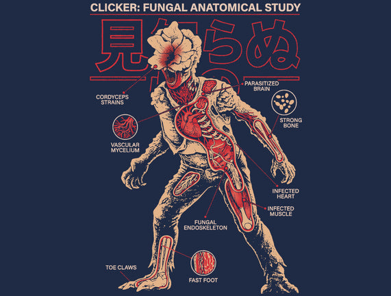 Fungal Anatomical Study
