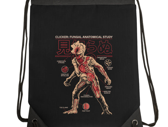 Fungal Anatomical Study