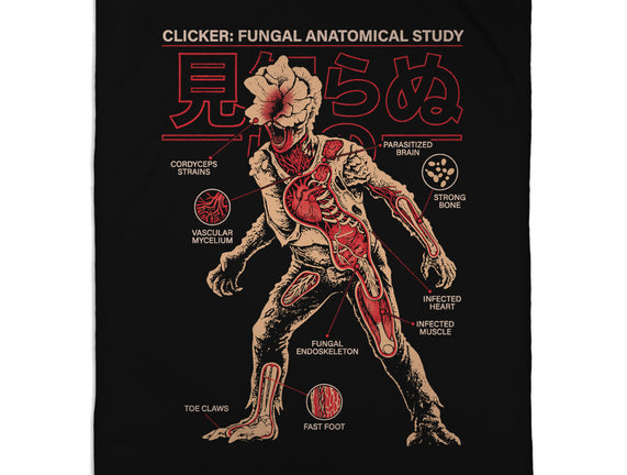 Fungal Anatomical Study