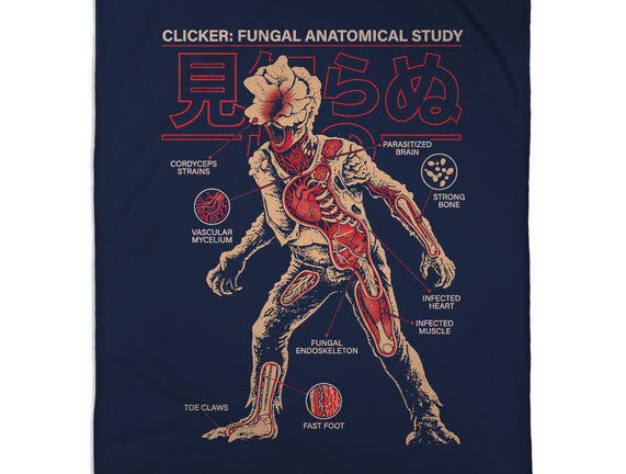Fungal Anatomical Study