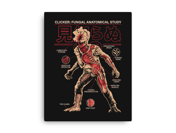 Fungal Anatomical Study
