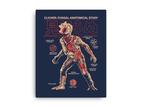 Fungal Anatomical Study