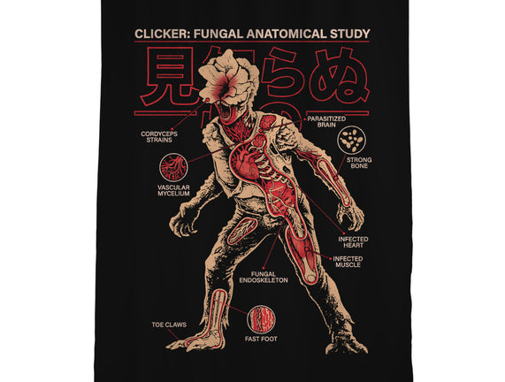Fungal Anatomical Study