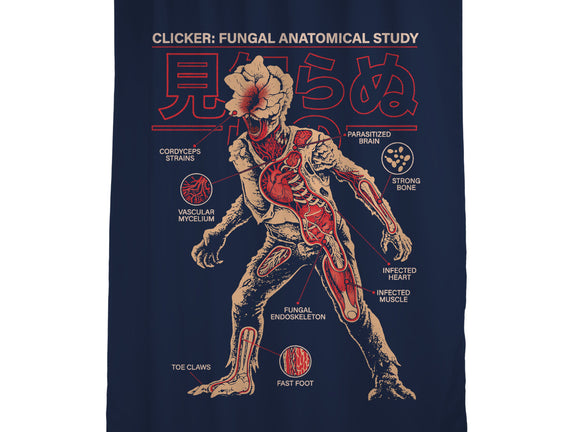 Fungal Anatomical Study