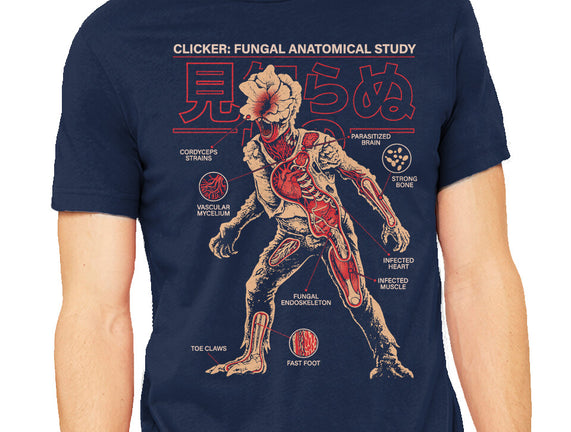 Fungal Anatomical Study