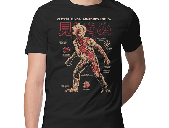 Fungal Anatomical Study