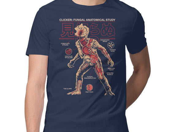 Fungal Anatomical Study