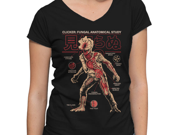 Fungal Anatomical Study