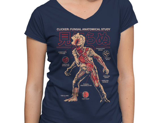 Fungal Anatomical Study
