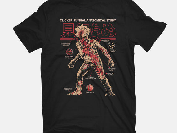 Fungal Anatomical Study