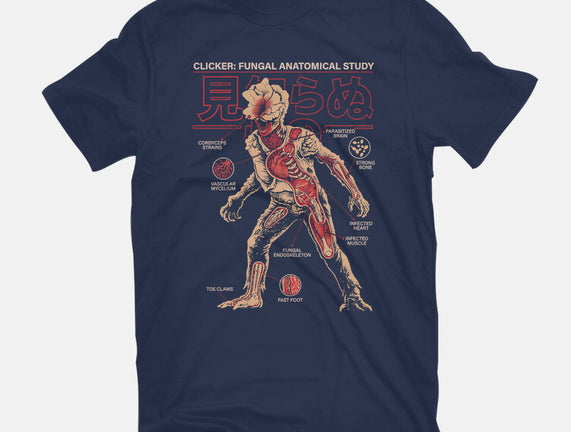 Fungal Anatomical Study