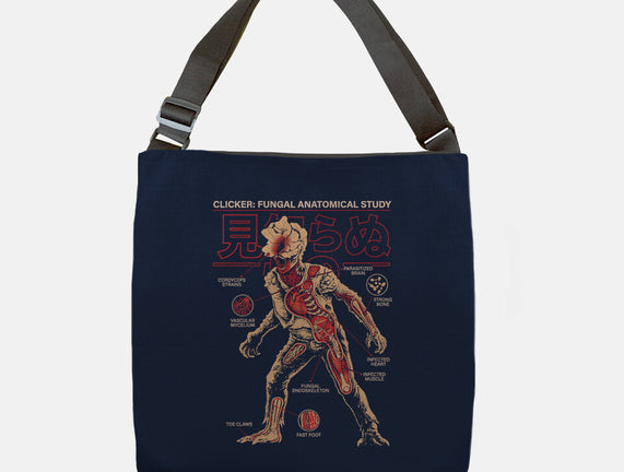 Fungal Anatomical Study