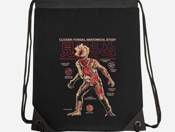 Fungal Anatomical Study