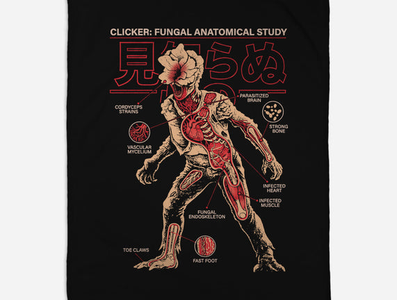Fungal Anatomical Study