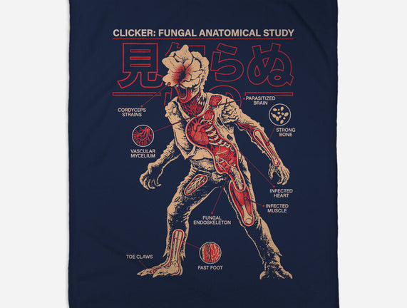 Fungal Anatomical Study