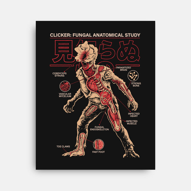 Fungal Anatomical Study-None-Stretched-Canvas-Diego Gurgell