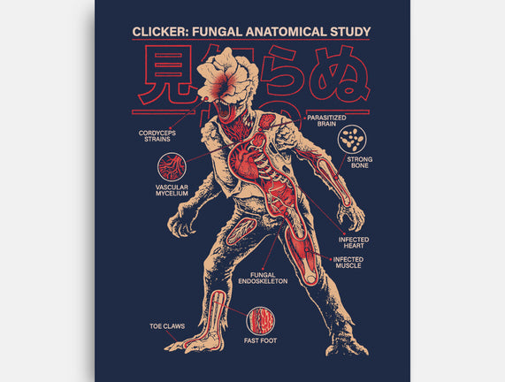 Fungal Anatomical Study