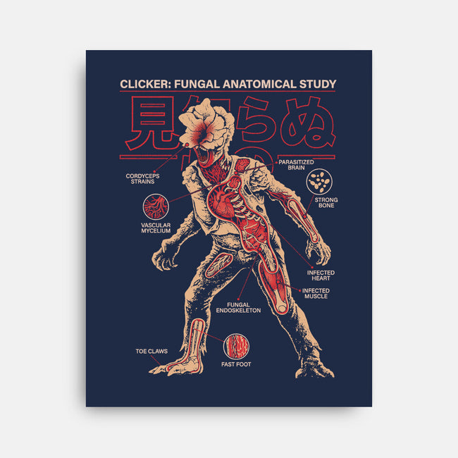 Fungal Anatomical Study-None-Stretched-Canvas-Diego Gurgell