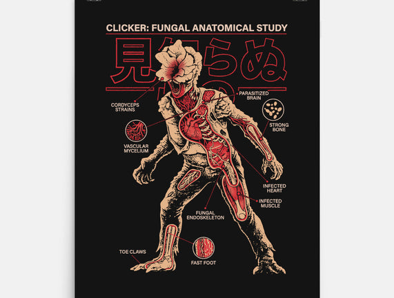 Fungal Anatomical Study