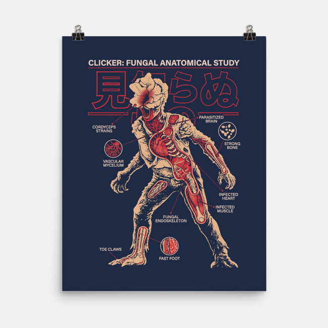 Fungal Anatomical Study-None-Matte-Poster-Diego Gurgell