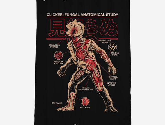 Fungal Anatomical Study