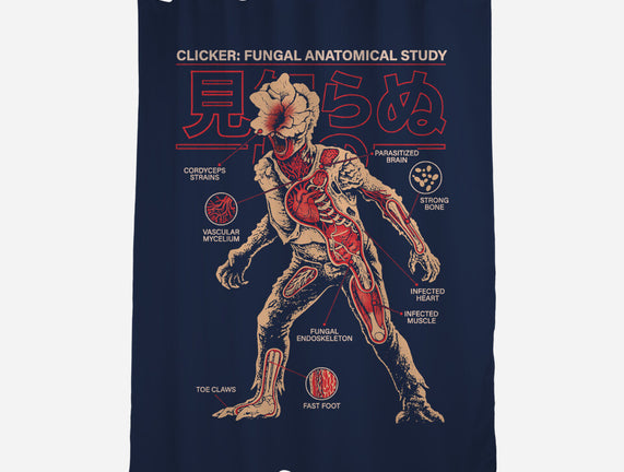 Fungal Anatomical Study