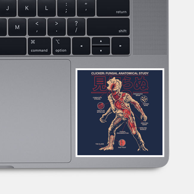 Fungal Anatomical Study-None-Glossy-Sticker-Diego Gurgell