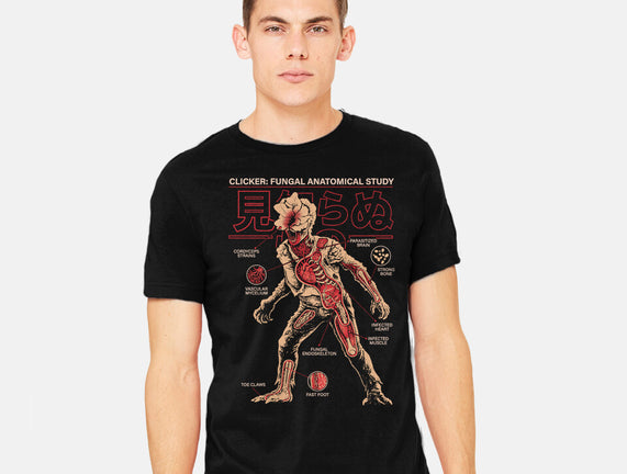 Fungal Anatomical Study