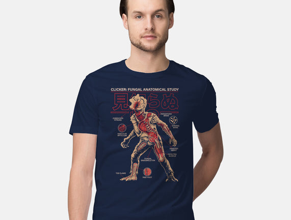 Fungal Anatomical Study